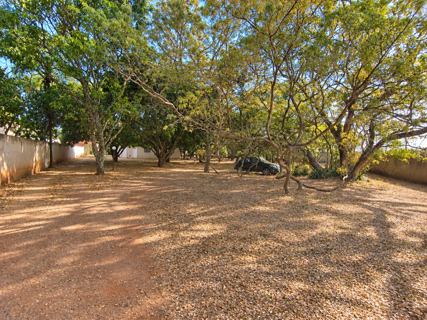 Área ampla e arborizada do Residencial Conde