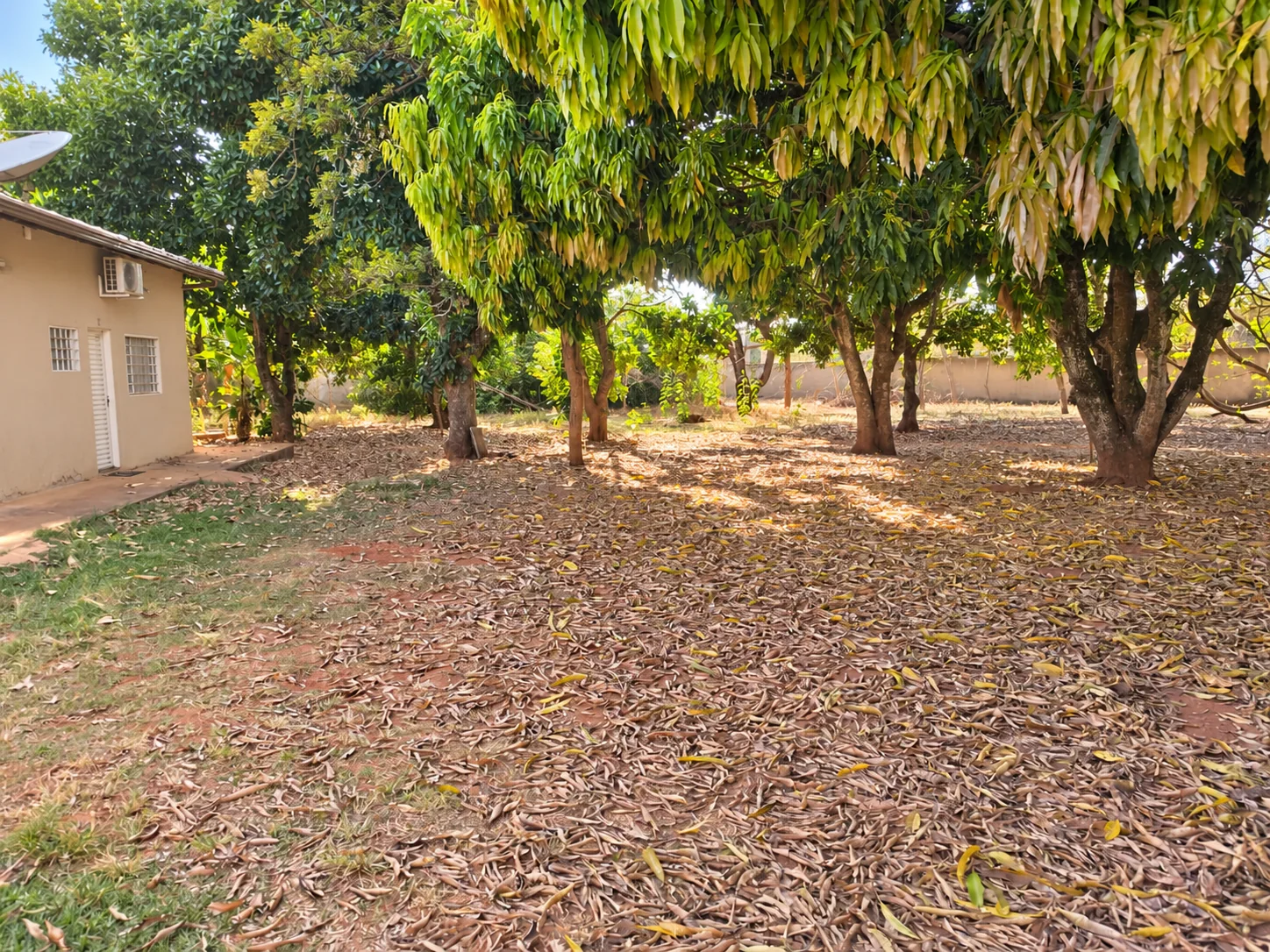 Área sombreada e arborizada do Residencial Conde