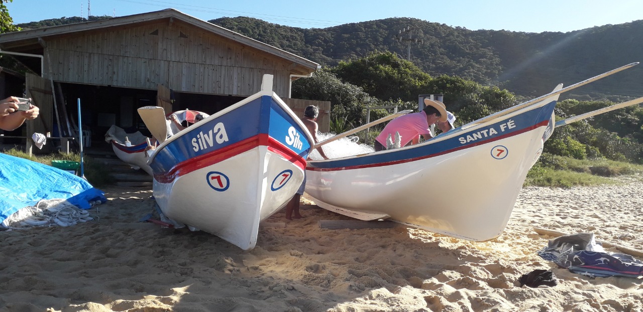 Safra da Tainha 2026 movimenta tradição e cultura em Balneário Camboriú