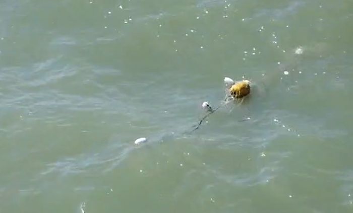 Suspeita de corpo no mar mobiliza bombeiros