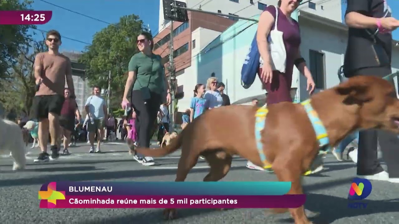 Blumenau: Cãominhada reúne mais de 5 mil participantes