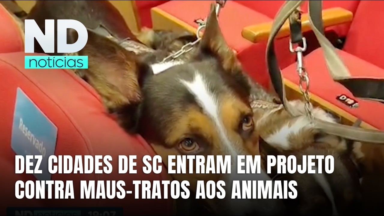 MPSC acompanha políticas de proteção animal em 10 cidades de Santa Catarina