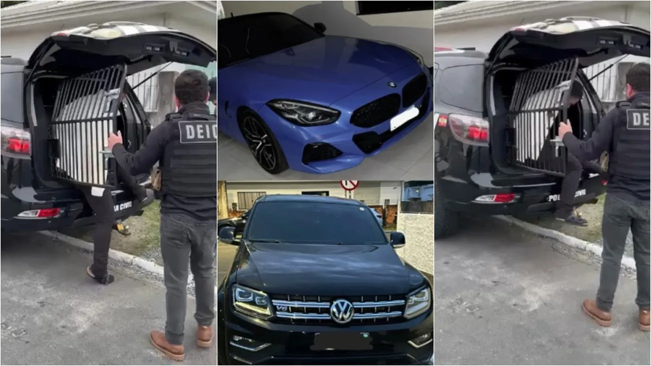 Polícia investiga golpe milionário contra gigante de suplementos de SC | G1