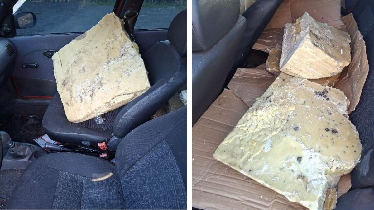 Homem surpreende policiais com carga ‘inusitada’ e proibida de 130 kg de cera de abelha em SC