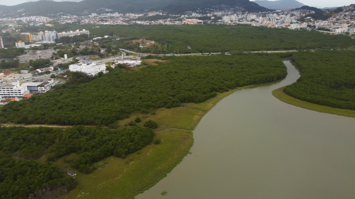 Justiça de SC derruba trecho de lei que liberava obras em APPs sem compensação ambiental