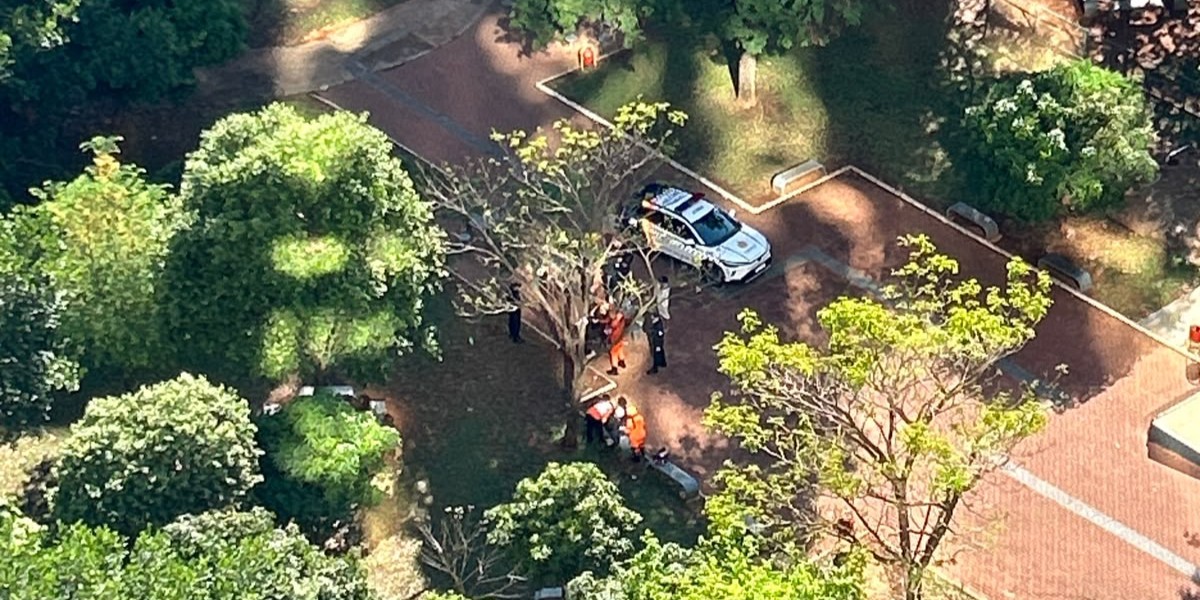 Briga na Praça da Coruja envolve tentativa de homicídio e termina com prisões em Águas Claras