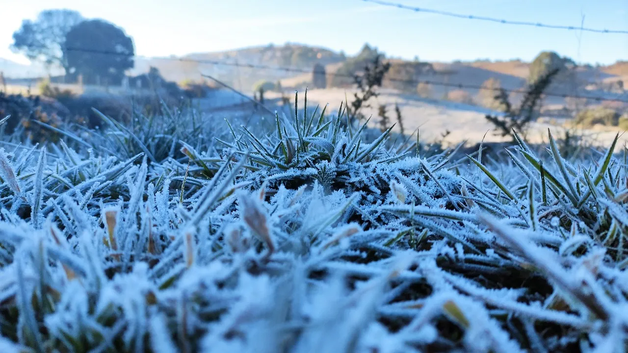Frio ganha força em Santa Catarina nesta segunda-feira