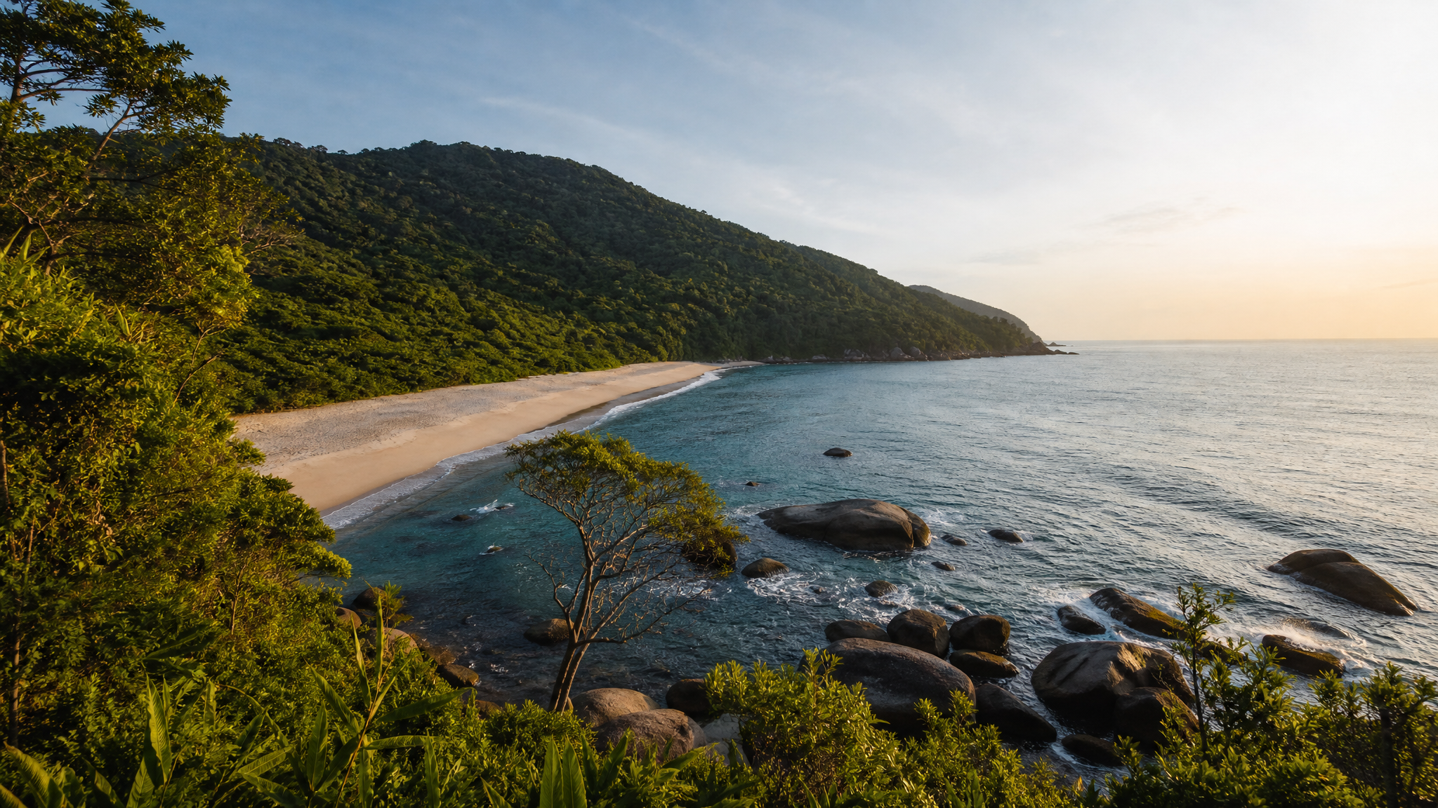 Capa da música Taquarinhas, a Praia que Ficou Selvagem