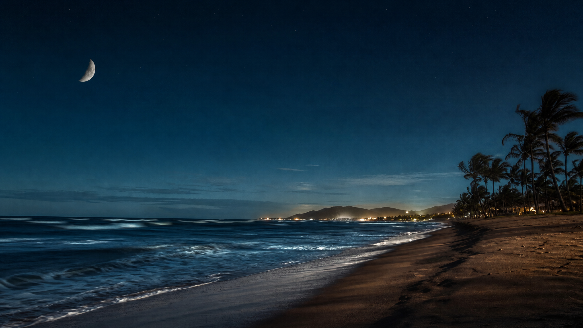 Capa da música Noite à Beira-Mar
