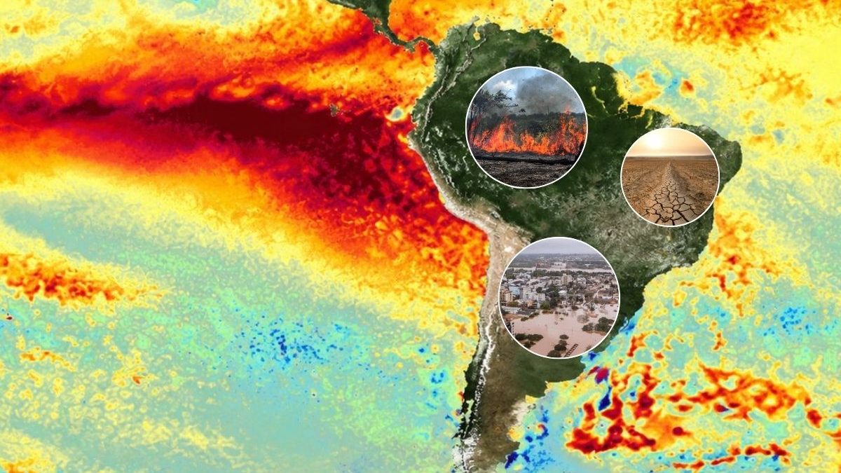 El Niño atinge 98% de probabilidade de durar até 2027 e deixa sete estados em situação crítica; veja o monitor