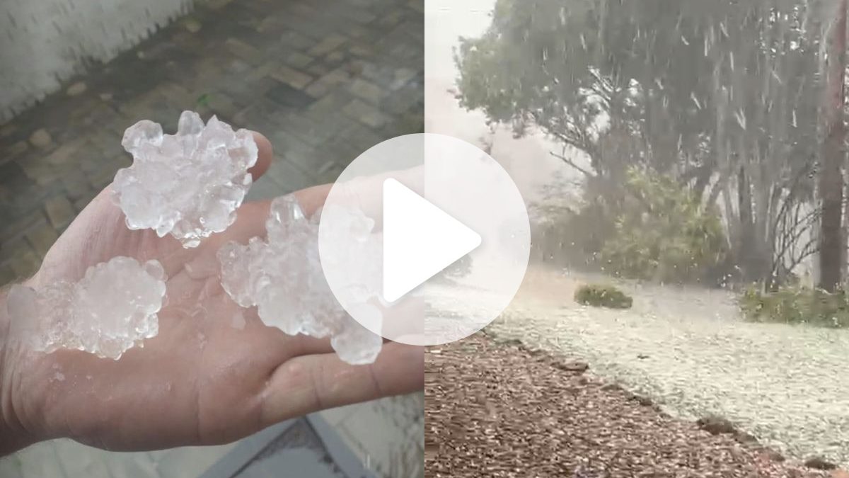 Temporal de granizo destrói mais da metade da safra de cebola e leva cidade de SC a decretar situação de emergência