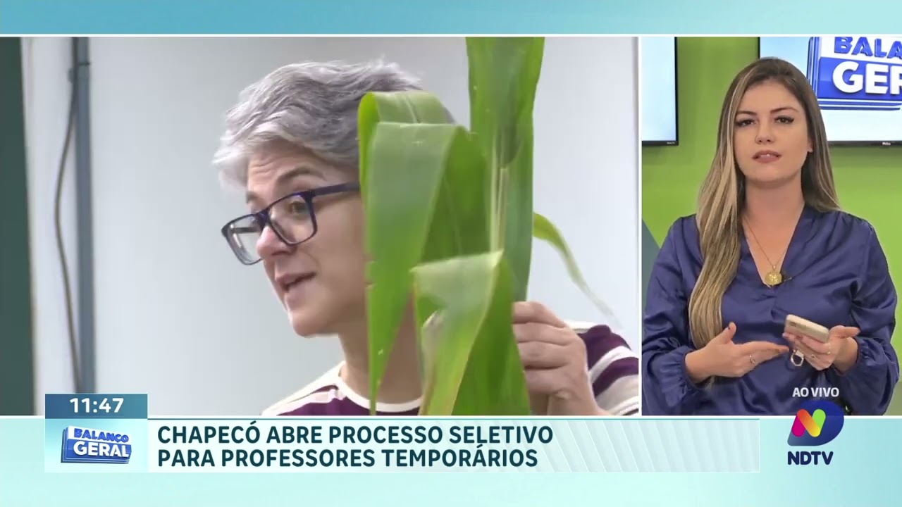 Chapecó lança edital para professores temporários da rede municipal