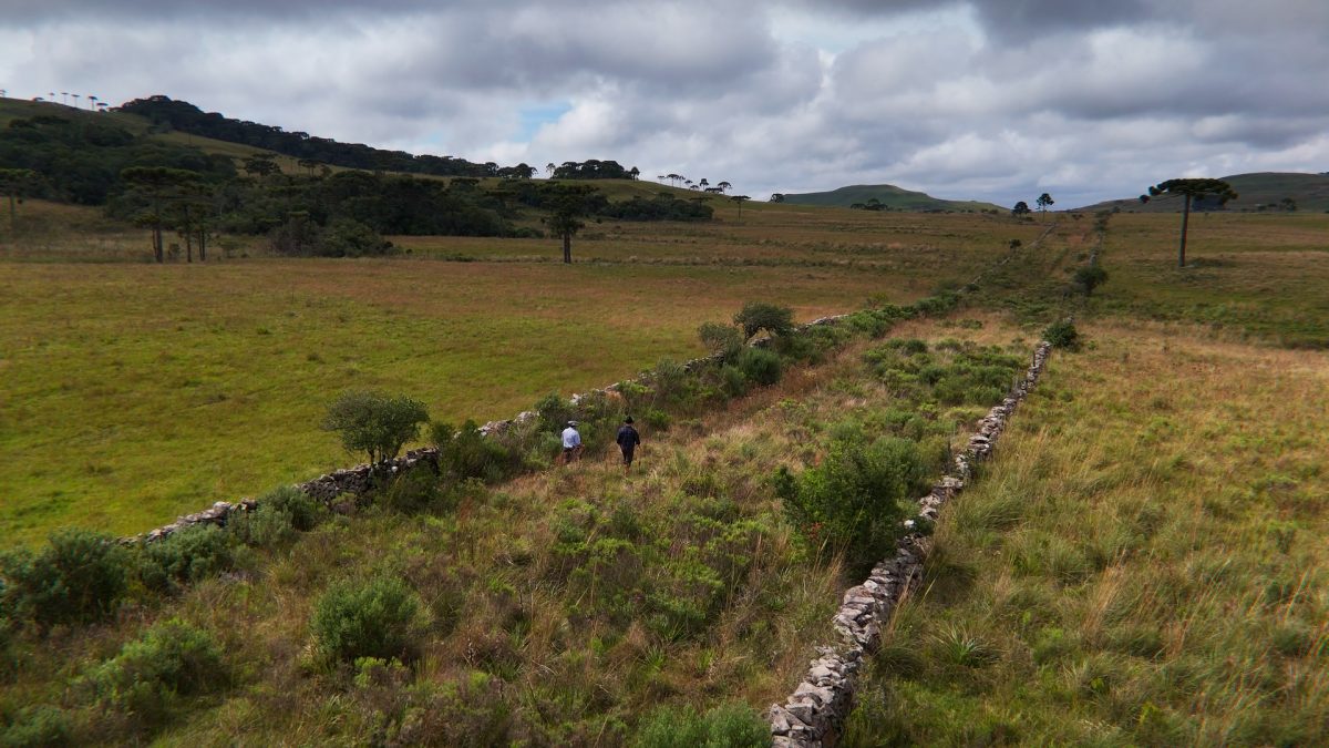 Conheça a rota que integrou Santa Catarina ao Brasil e mudou a história do estado