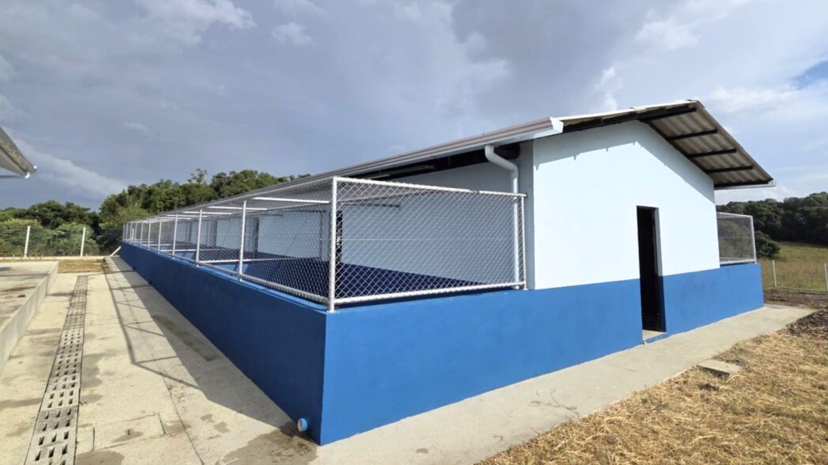 Abrigo de R$ 622 mil é inaugurado em SC mas nunca foi usado para receber animais