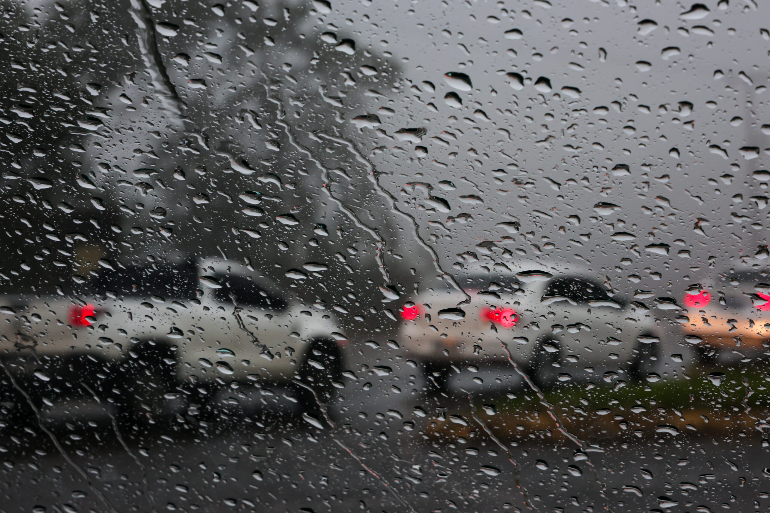 Com influência do El Niño, próximos meses serão mais chuvosos e com temperaturas acima da média em Santa Catarina - Secretaria de Estado da Proteção e Defesa Civil de Santa Catarina