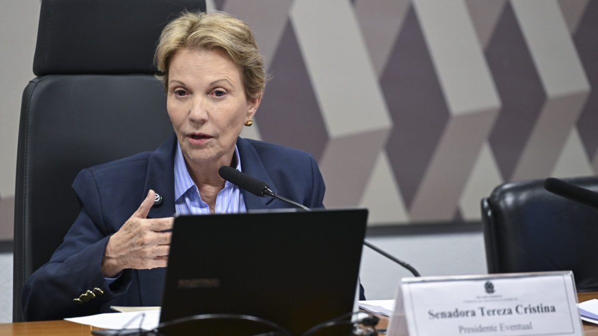 Quem é Tereza Cristina, a possível vice de Flávio Bolsonaro?