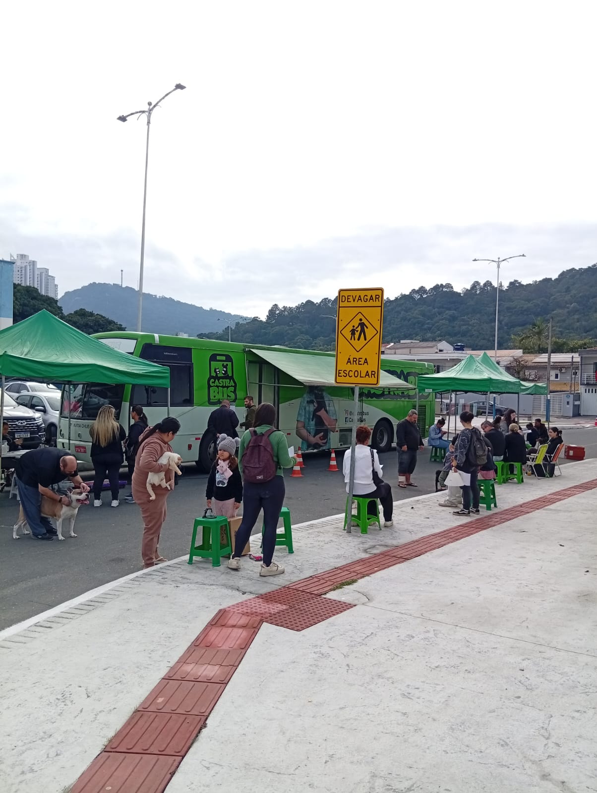 Programa Castra Pet atendeu 80 animais gratuitamente nesta quinta-feira