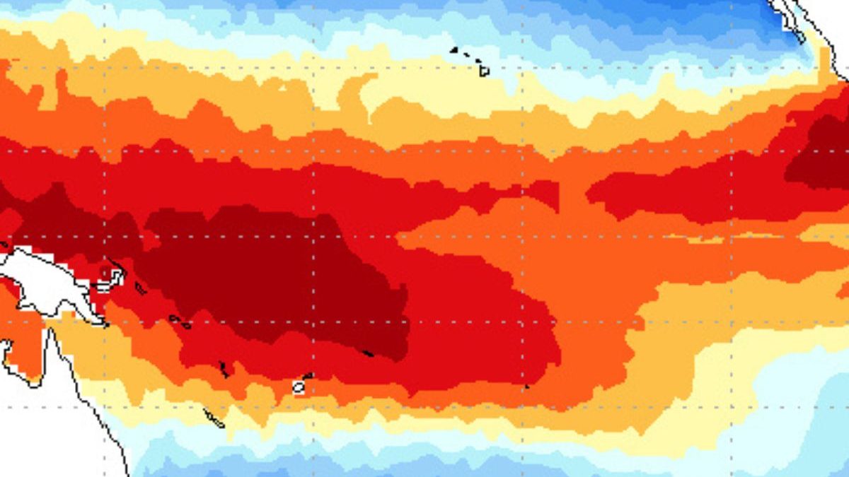 Dia dos Pais sem frio? El Niño pode ‘roubar’ o restante do inverno e manter temperaturas acima da média
