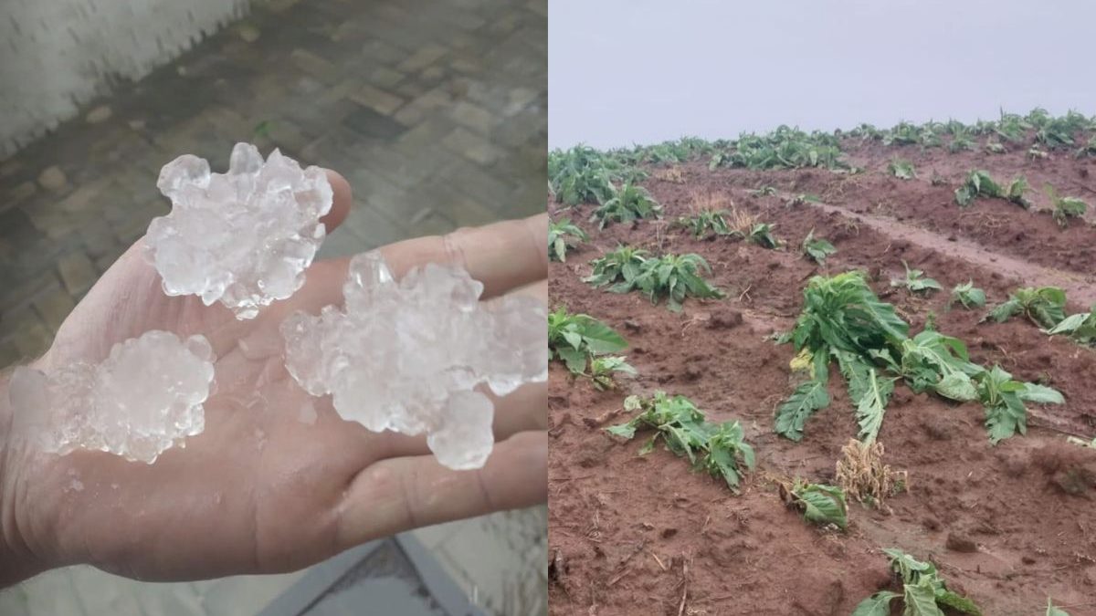 Temporal com granizo destrói área equivalente a 2,9 mil campos de futebol e causa prejuízo de R$ 155 milhões em cidade de SC