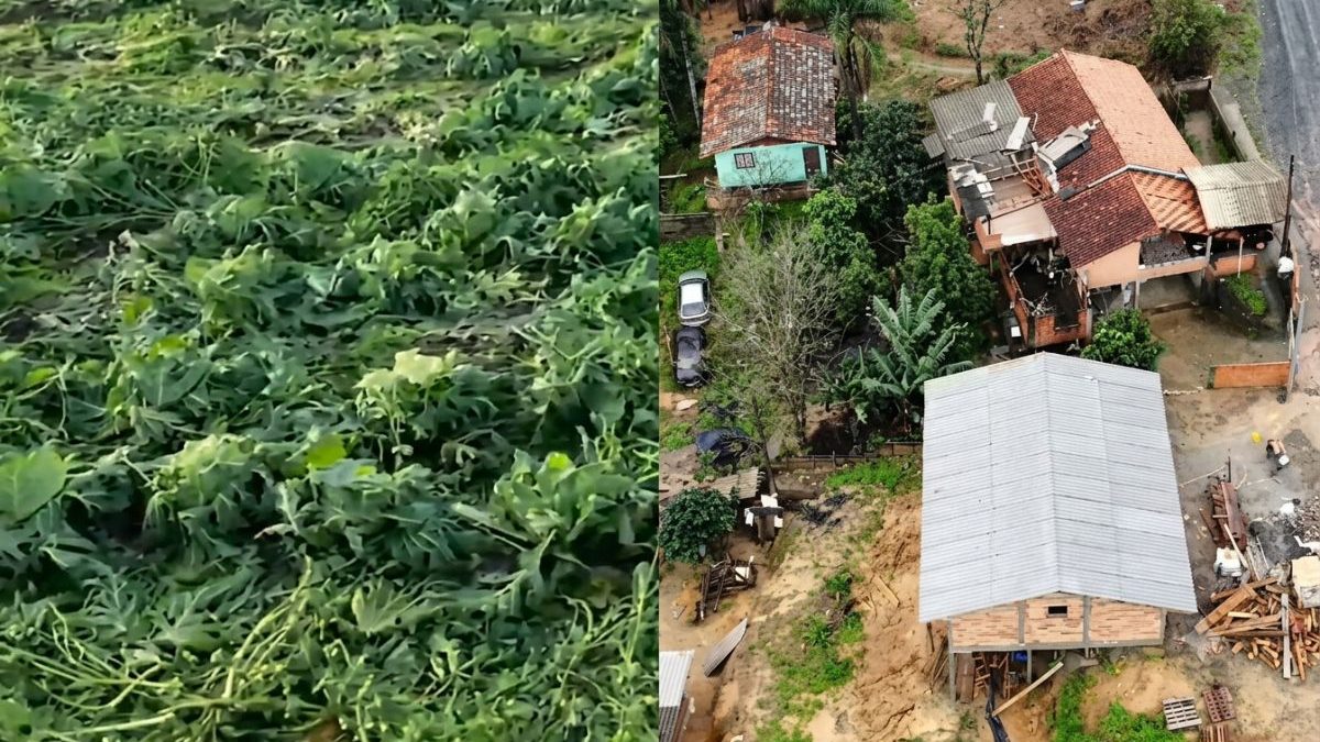 Temporal de granizo destrói plantações, destelha casas e leva cidade de SC a decretar situação de emergência