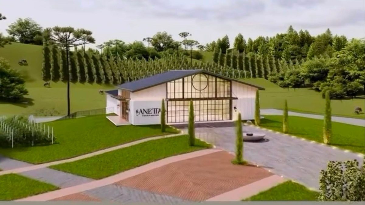 Cidade catarinense conhecida pela Uva Goethe aposta em vinícola para impulsionar o turismo