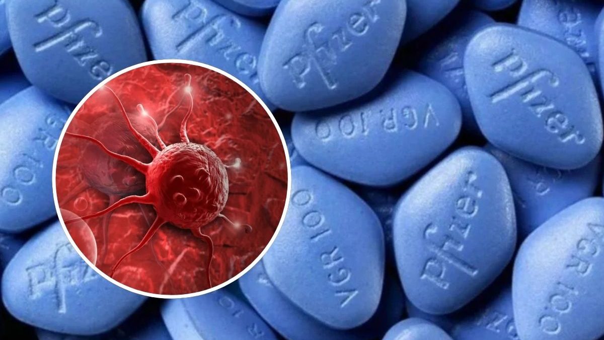 Viagra vira ‘arma’ contra câncer freando o avanço da doença pelos órgãos, mostra estudo com 40 mil casos