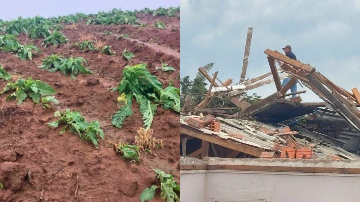Rastro de destruição causado por temporal de granizo e vendaval faz quatro cidades de SC decretarem situação de emergência