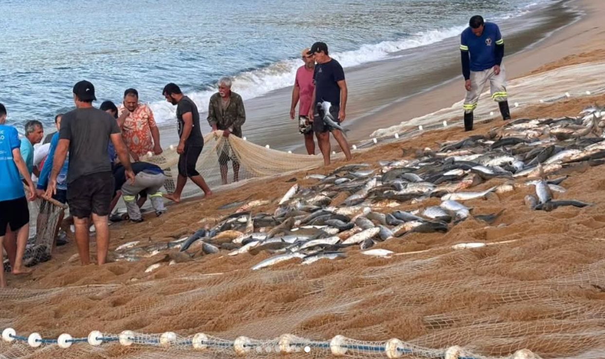 Pesca da tainha em Balneário Camboriú termina com uma das maiores safras já registradas