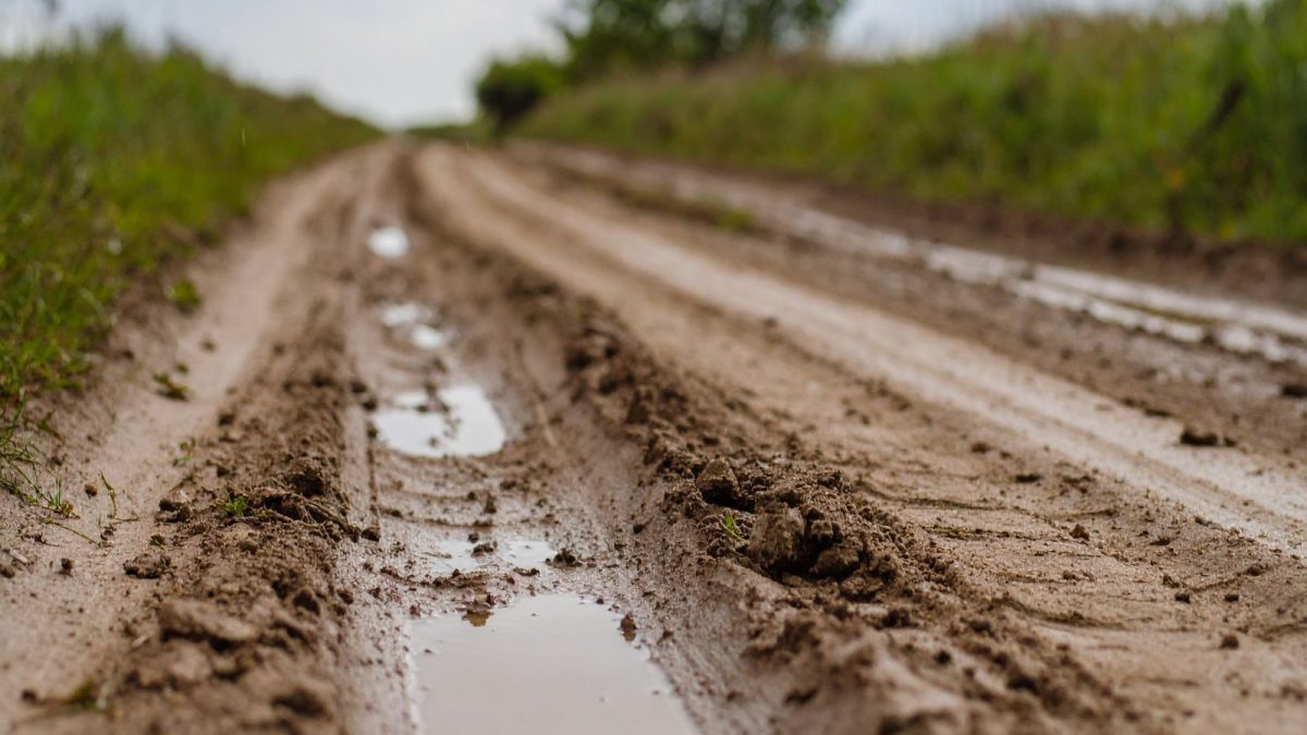 Corpo carbonizado é encontrado abandonado em estrada de chão e mobiliza investigações em SC