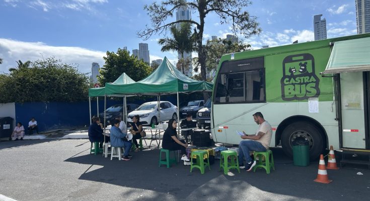 Programa Castra Pet atendeu 80 animais gratuitamente nesta quinta-feira