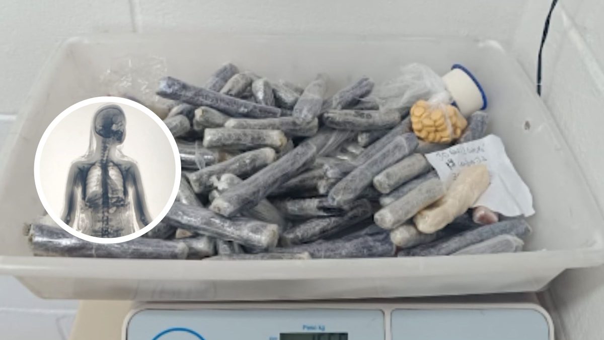 Profissional da educação é flagrada com materiais ilícitos ao tentar entrar em penitenciária de SC