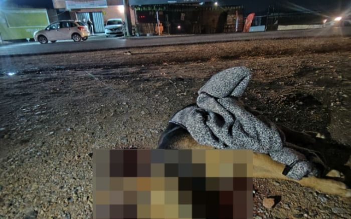 Corpo de cão comunitário morto a tiros em Itajaí é recolhido para perícia