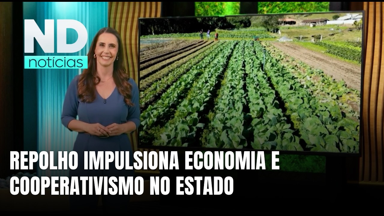 Repolho movimenta economia catarinense no Agro, Saúde e Cooperação
