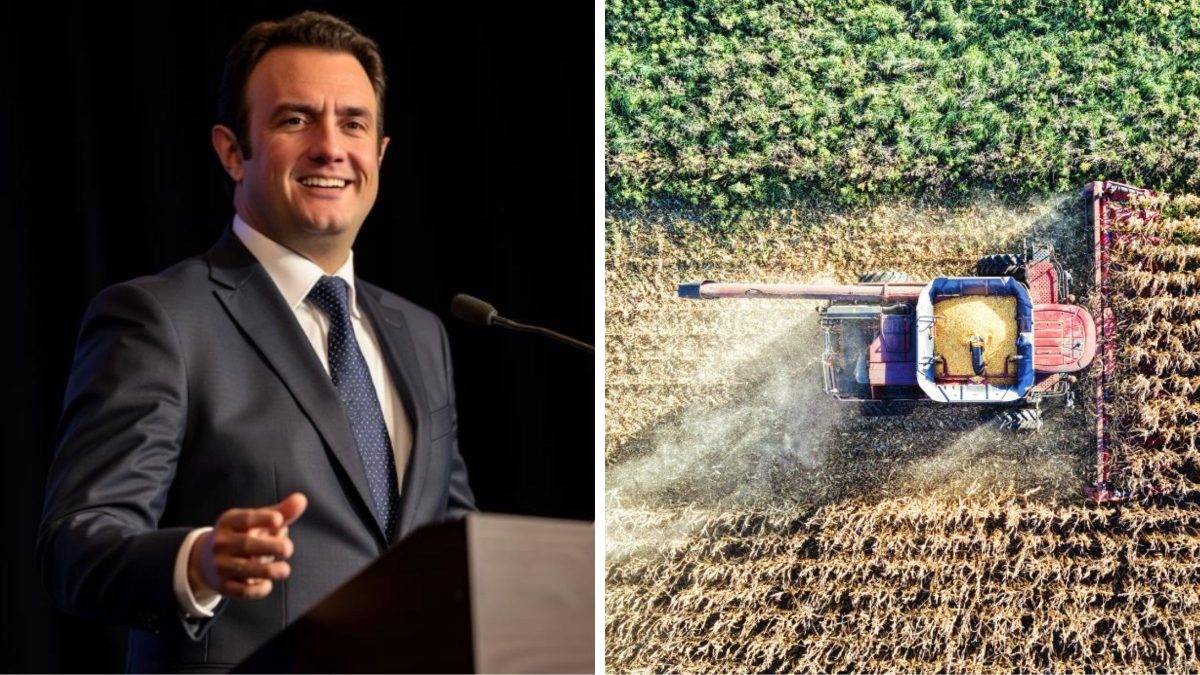 Pré-candidato ao Senado pelo PRD em SC propõe teto de 12% nos juros rurais para ‘socorrer’ o agro catarinense