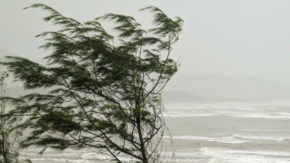 Frente fria avança e traz rajadas de até 80 km/h em SC; veja a previsão