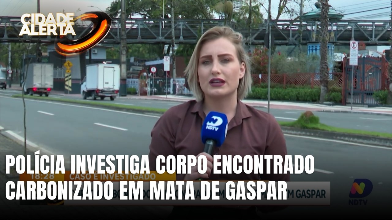 Corpo carbonizado é encontrado em área de mata em Gaspar
