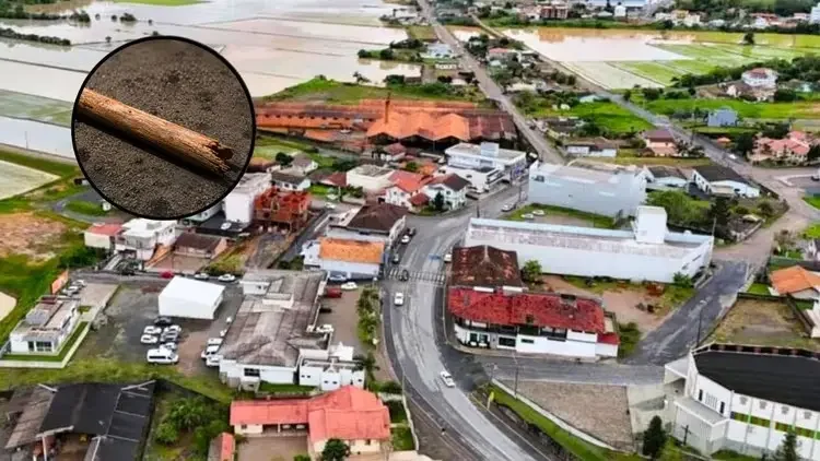 Homem é espancado com pedaço de madeira, fratura o braço e fica inconsciente