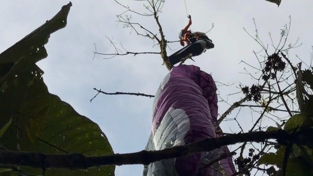 Resgate nas alturas: homem leva susto após cair de parapente e ficar preso em copa de árvore em SC