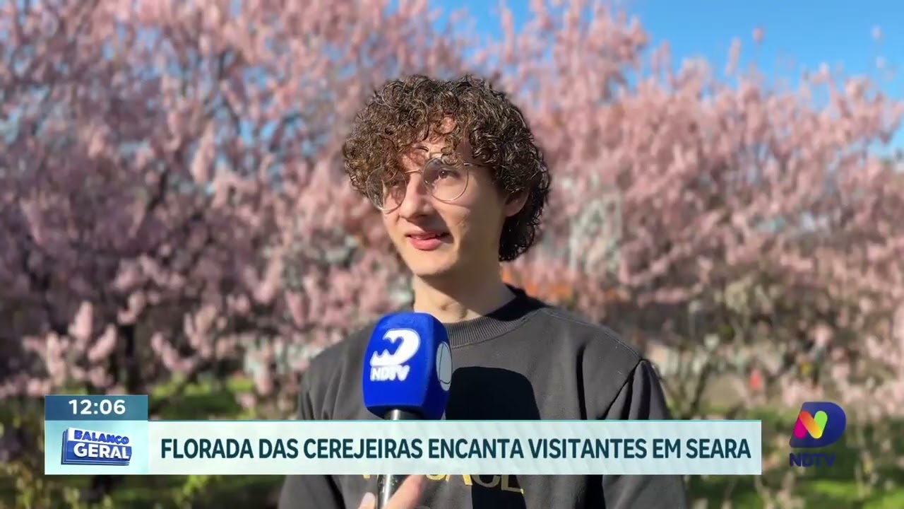Florada das cerejeiras encanta visitantes no Museu Fritz Plaumann