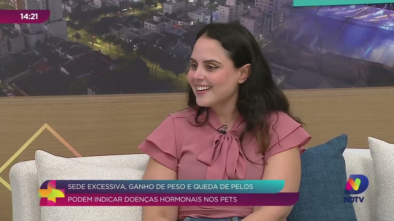 Doenças hormonais em pets: veterinária explica sinais de alerta