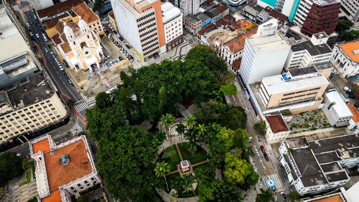 Mais de 12 toneladas de lixo de bares e restaurantes são usadas para adubar árvores no centro de Florianópolis