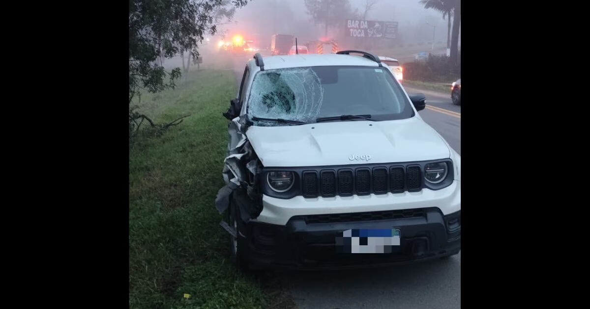 Irmãos de 7 e 14 anos morrem atropelados na BR-470