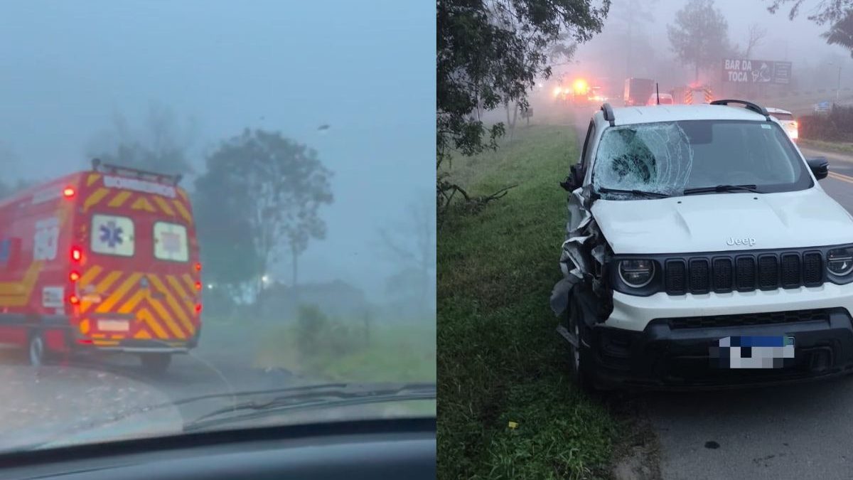 Irmãos de 7 e 14 anos morrem atropelados em grave acidente na BR-470, em SC