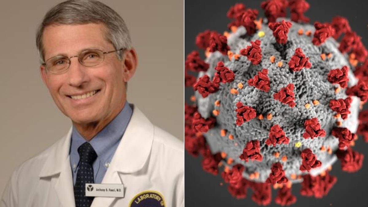 Origem da Covid-19: o que o FBI, a CIA e os diários de Fauci detalham sobre os bastidores de 2020