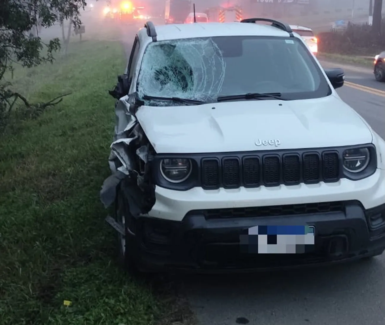 Vale do Itajaí: irmãos de 7 e 14 anos morrem atropelados na BR-470 | G1