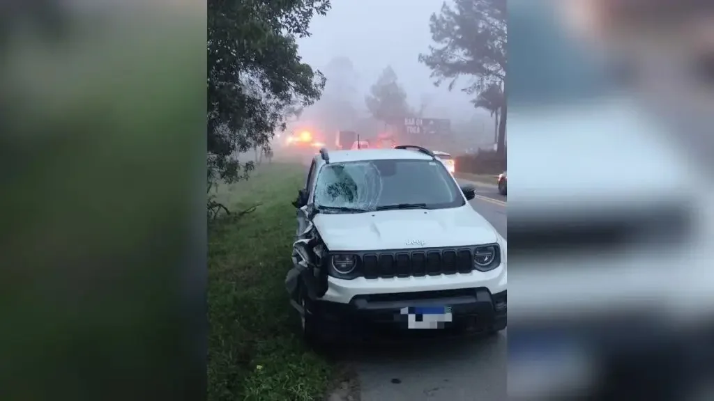 Irmãos de 7 e 14 anos morrem atropelados ao atravessar a BR-470
