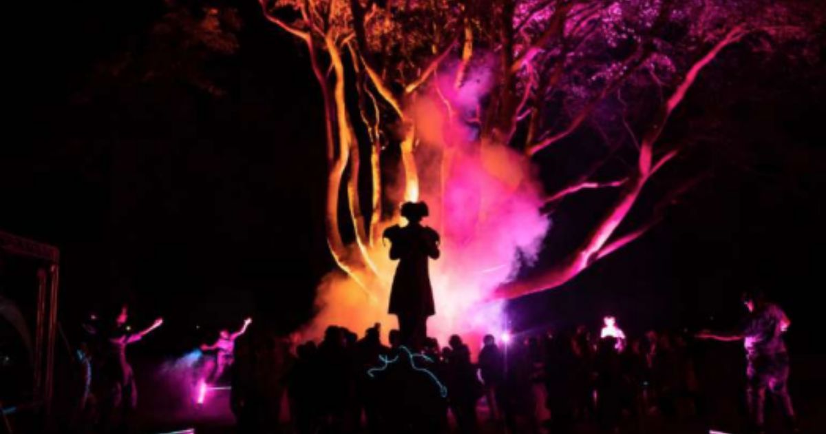 O que parecia um passeio comum ao entardecer virou uma experiência inusitada quando dois artistas criaram música com sons de morcego; o desfecho foi uma rave ao ar livre com o público sob os animais