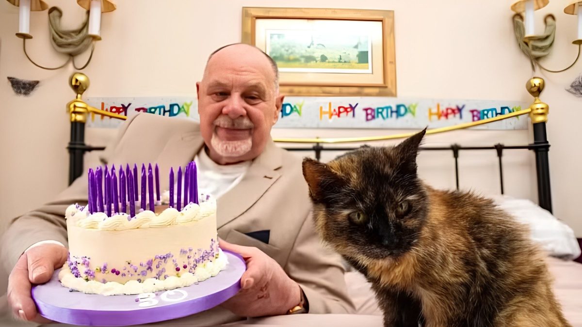 Com dieta de camarão e água mineral, gata de 146 anos humanos busca título de mais velha do mundo no Livro dos Recordes