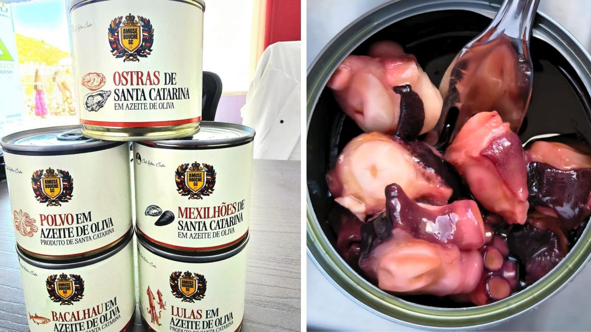 Florianópolis sai na frente e ganha primeira fábrica de ostras e mexilhões enlatados do Brasil
