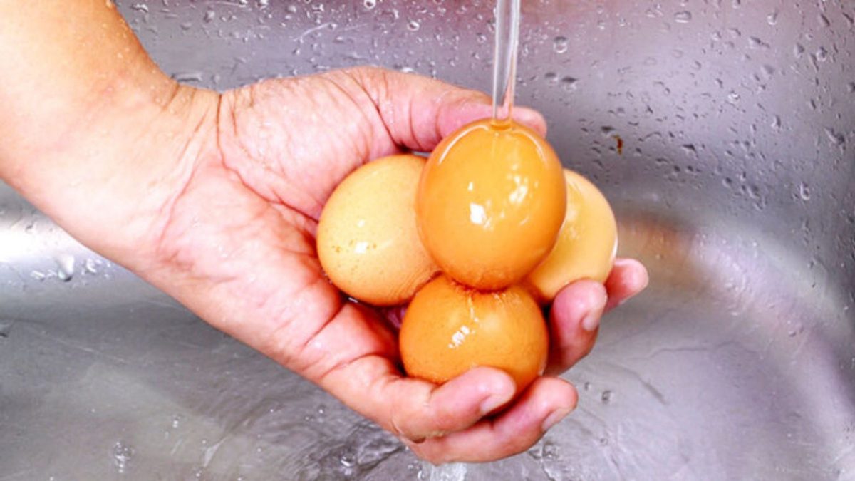 Plástico e petróleo em ovos? Anvisa alerta sobre risco de contaminação ao lavar a casca antes da hora certa